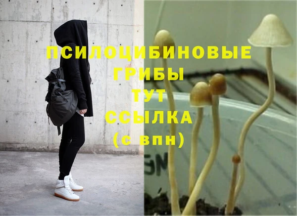 spice Алзамай