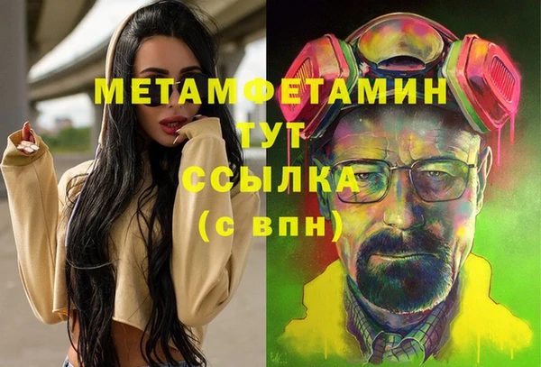 крисы Козельск